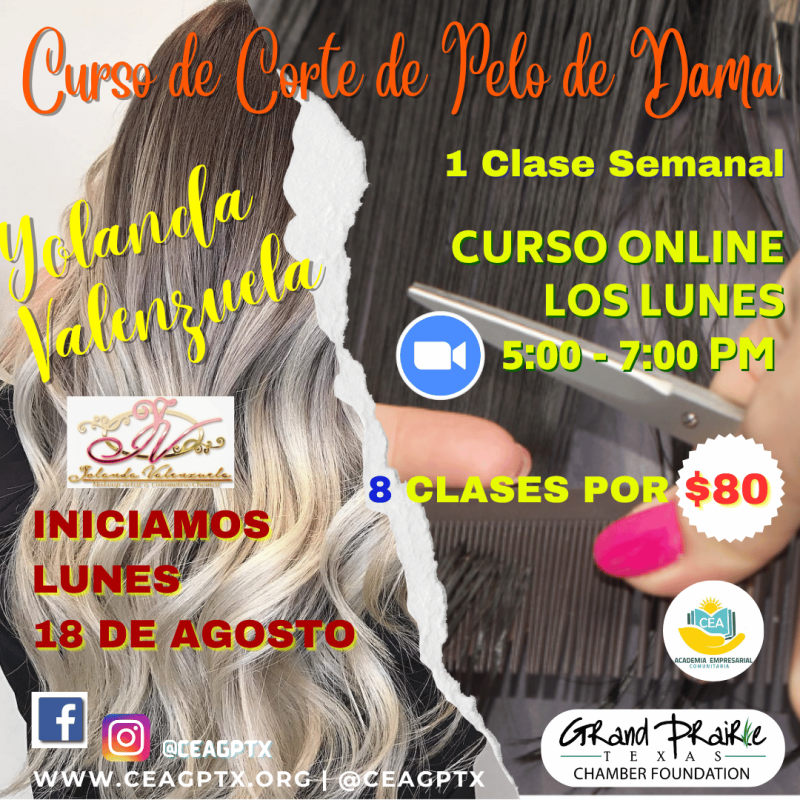 Curso de Corte de Pelo de Dama