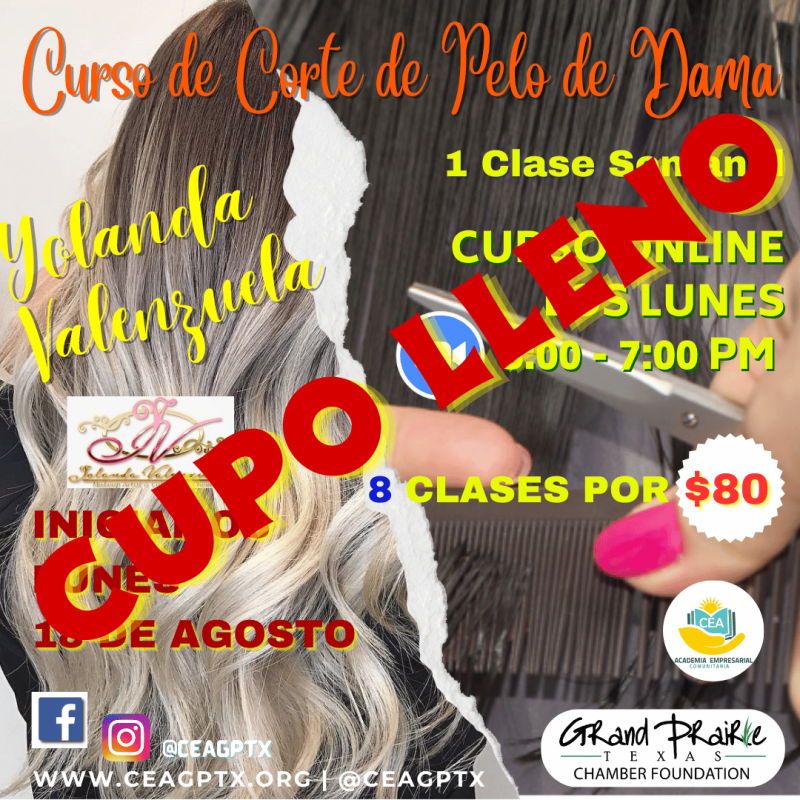 Curso de Corte de Pelo de Dama