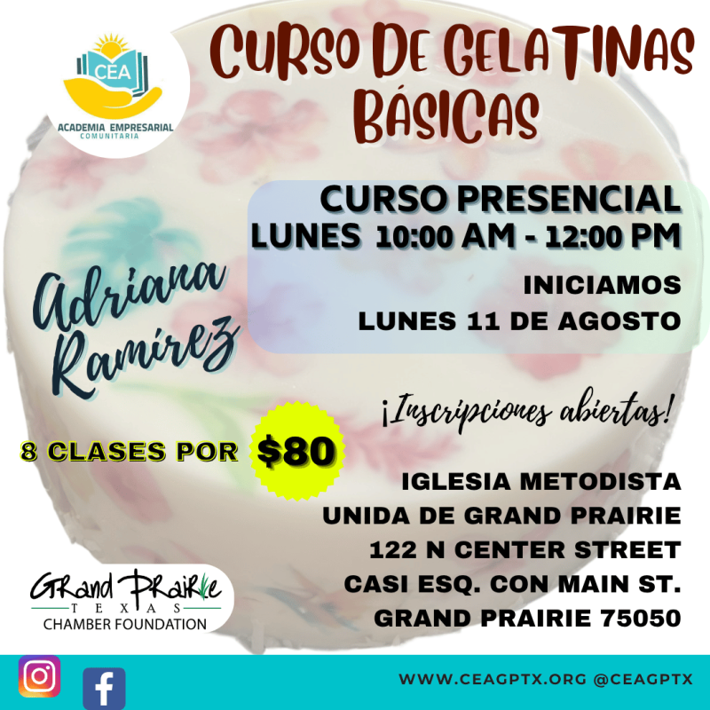 Curso de Gelatinas Básicas