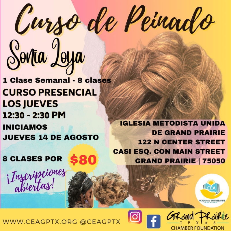 Curso de Peinado