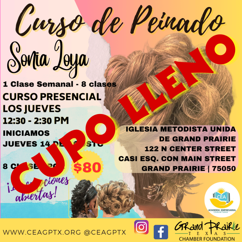 Curso de Peinado