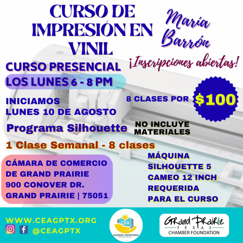 DISEÑOS EN VINIL
